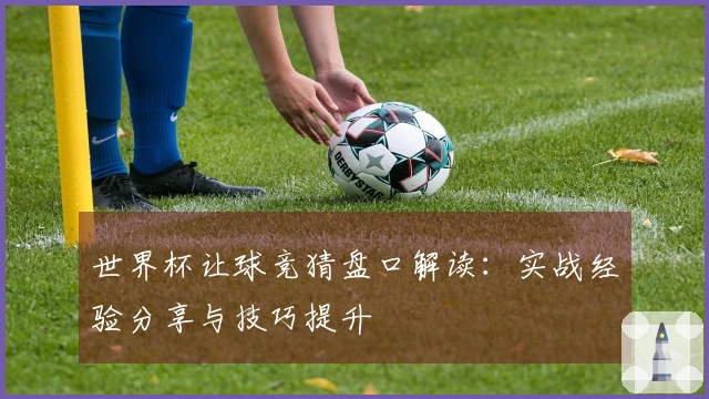 世界杯让球竞猜盘口解读：实战经验分享与技巧提升
