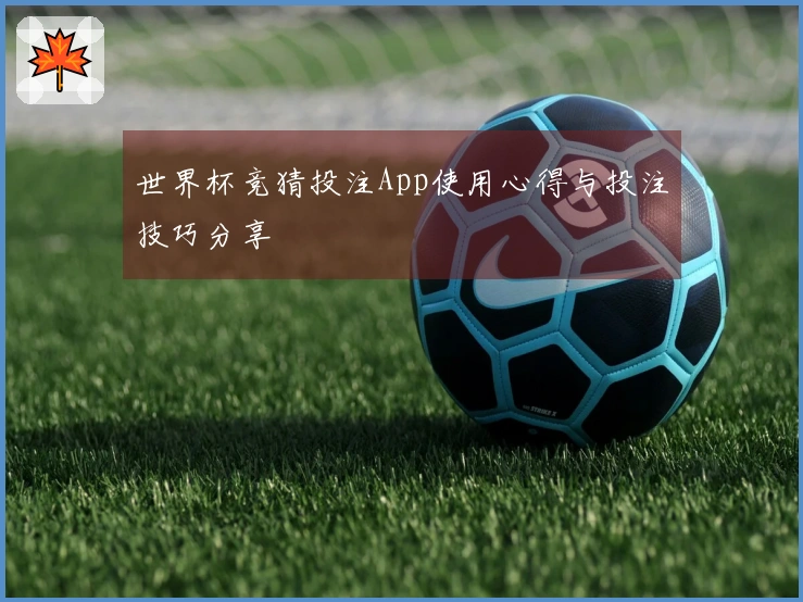 世界杯竞猜投注App使用心得与投注技巧分享
