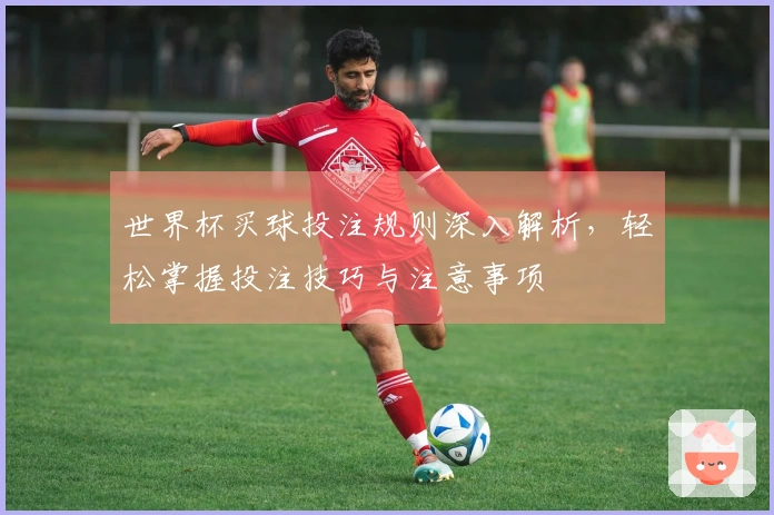世界杯买球投注规则深入解析，轻松掌握投注技巧与注意事项