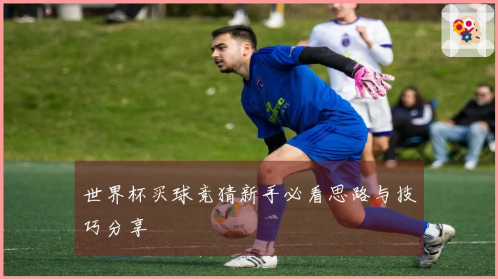 世界杯买球竞猜新手必看思路与技巧分享