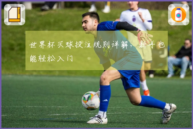 世界杯买球投注规则详解，新手也能轻松入门