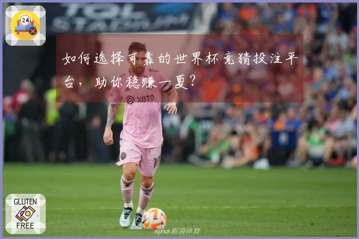 如何选择可靠的世界杯竞猜投注平台，助你稳赚一夏？