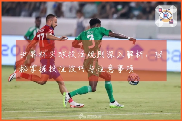 世界杯买球投注规则深入解析，轻松掌握投注技巧与注意事项