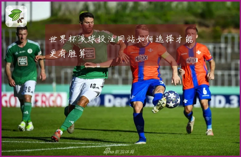 世界杯滚球投注网站如何选择才能更有胜算