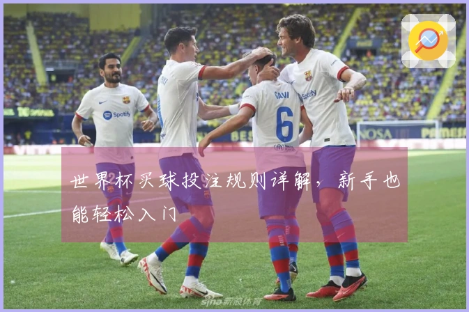 世界杯买球投注规则详解，新手也能轻松入门