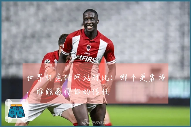 世界杯竞猜网站对比：哪个更靠谱，谁能赢得你的信任