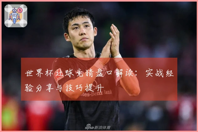 世界杯让球竞猜盘口解读：实战经验分享与技巧提升