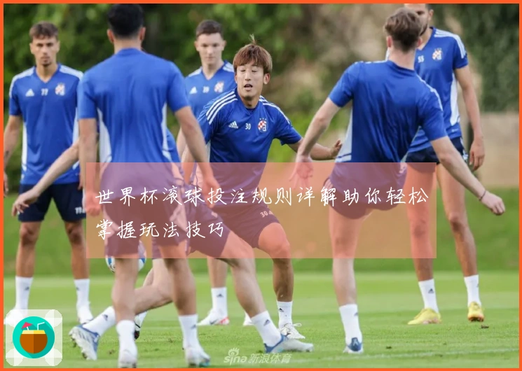 世界杯滚球投注规则详解助你轻松掌握玩法技巧