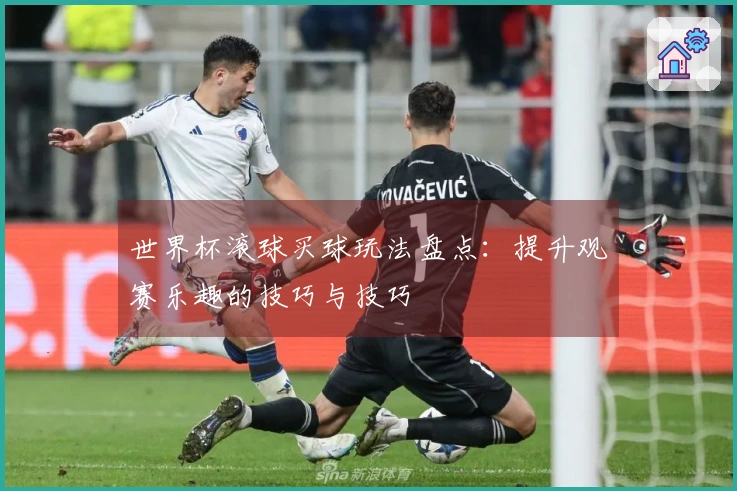 世界杯滚球买球玩法盘点：提升观赛乐趣的技巧与技巧