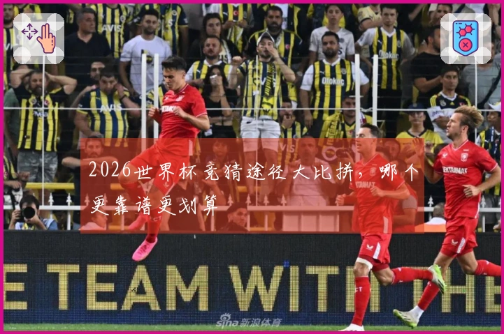 2026世界杯竞猜途径大比拼，哪个更靠谱更划算
